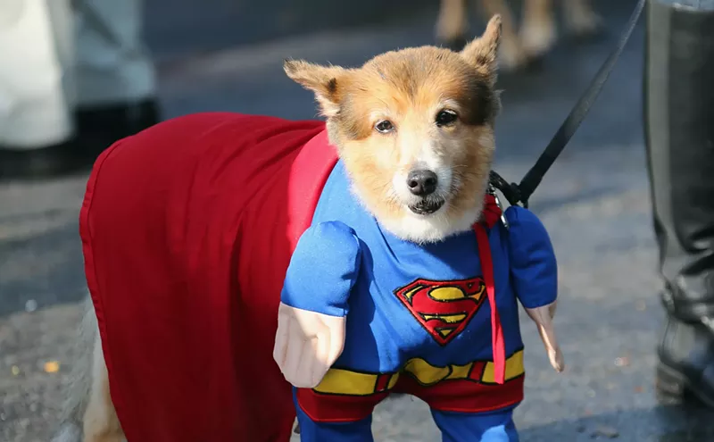 Image: 14 Things to Do in Dallas, April 7-15
