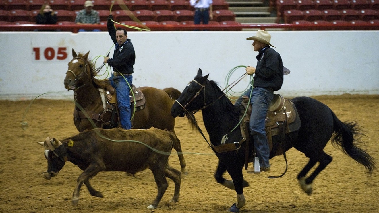 The Fort Worth Stock Show and Rodeo takes off this week.