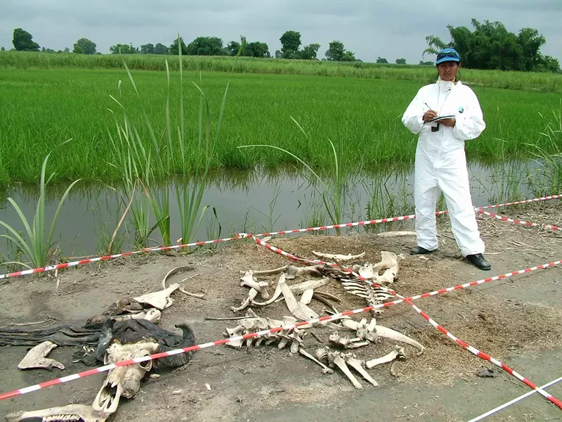 Image: Body farms like this one study decomposition in natural settings. Freeman Ranch outside San Marcos studies humans.