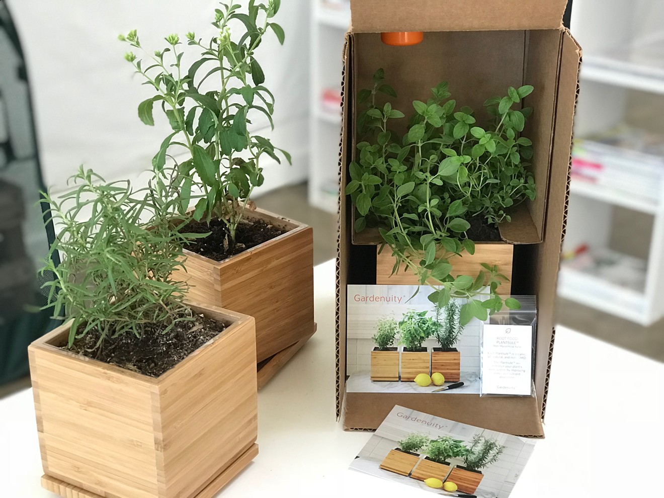 A new Dallas company will send you everything you need to grow herbs and vegetables at home, even if you live in a downtown high-rise.