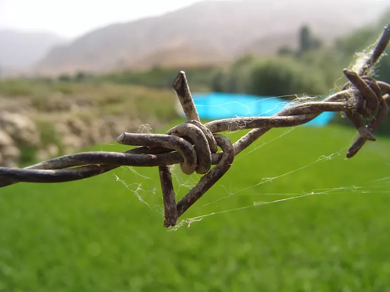 Image: The same barbed wire can be used on white people.