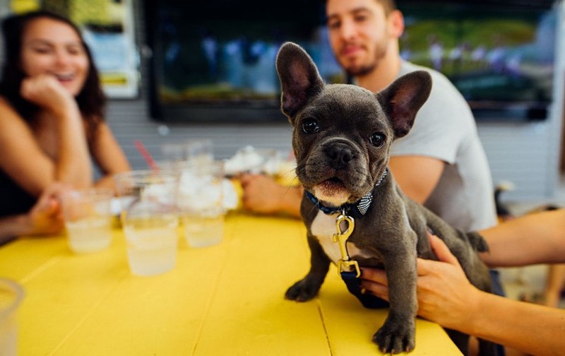 Who's a good puppy? The dog days of summer are here.