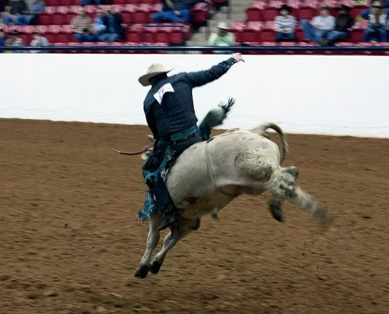 Image: The Texas Gay Rodeo Association was founded in '83. This weekend they throw their annual charity rodeo, which has moved from Fair Park to Denton.
