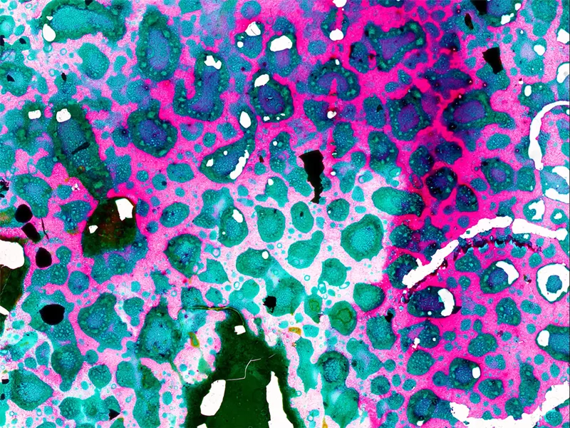 Image: A video still from Abinadi Meza's "Sunspots," on display during the Dallas Art Fair