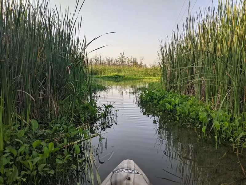 Image: kayak in dallas water