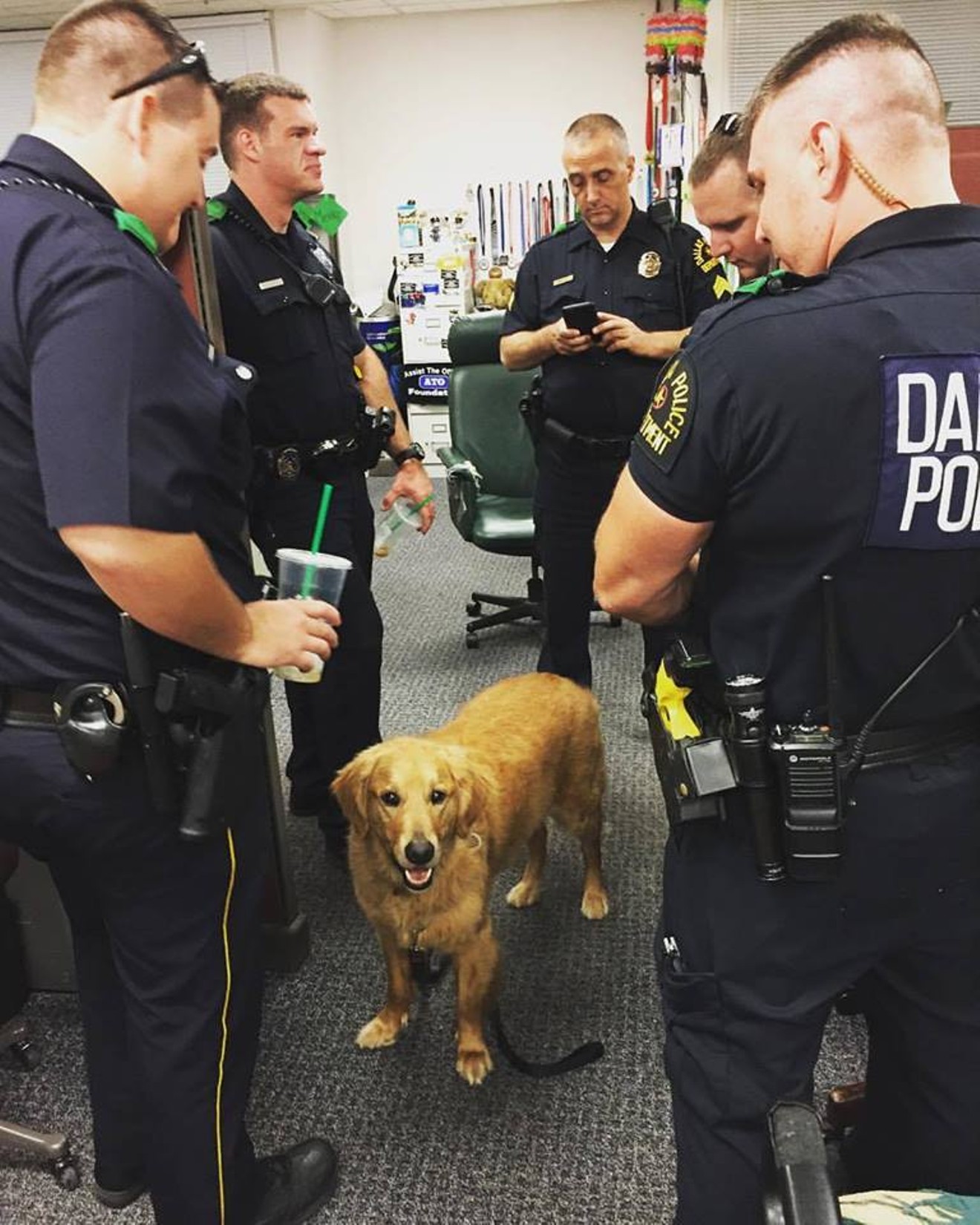 Brisbane is one of 11 therapy dogs who have been coming to the aid of police officers across DFW.