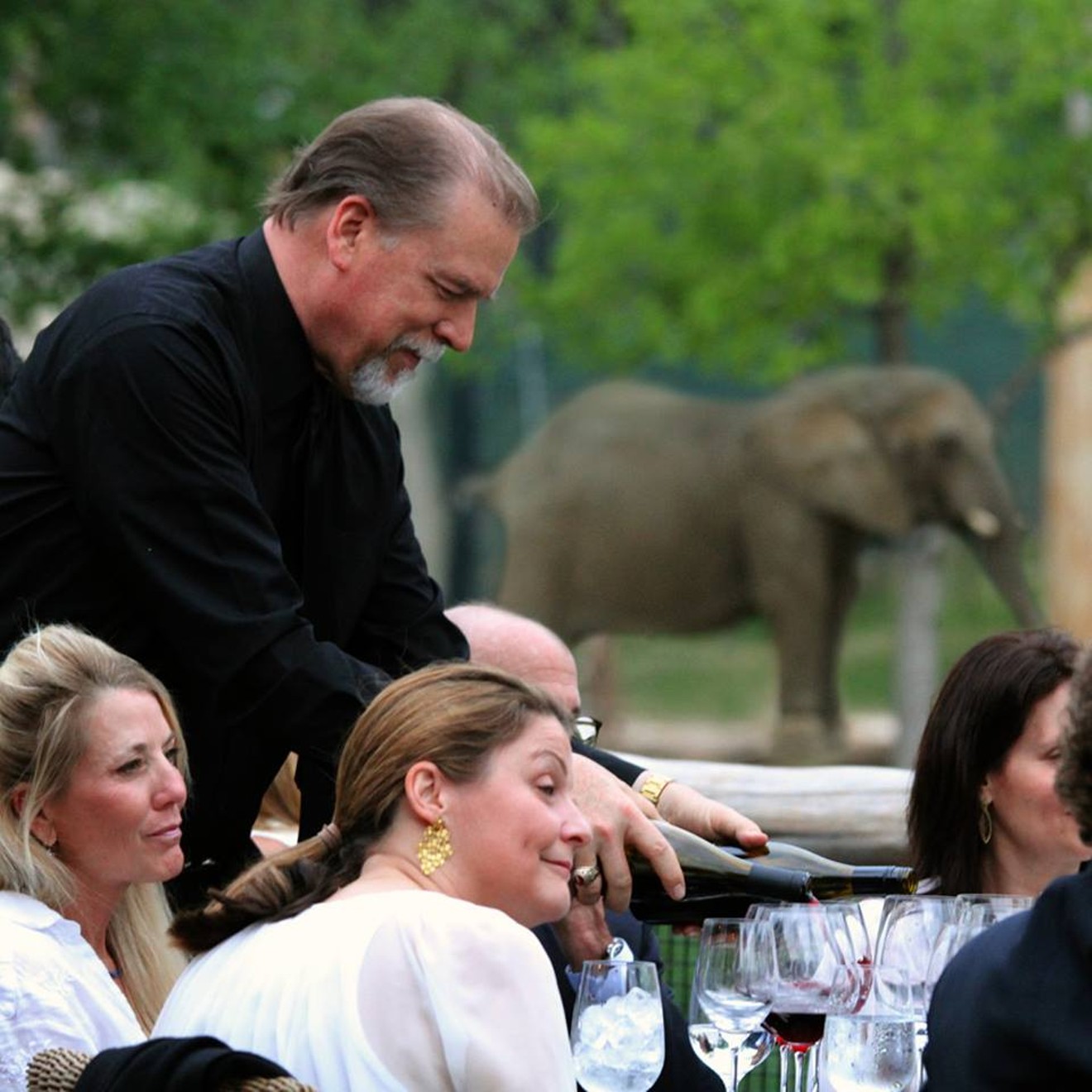 At this weekend's Corks For Conservation event, visitors can sip wine in proximity to elephants.