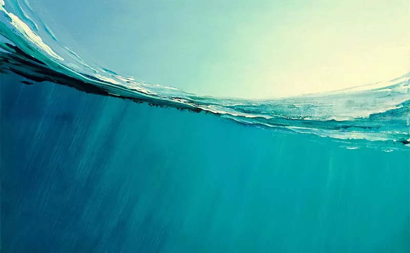 Exploring the Artistic Journey: SINGULART's Impact on the Art Market