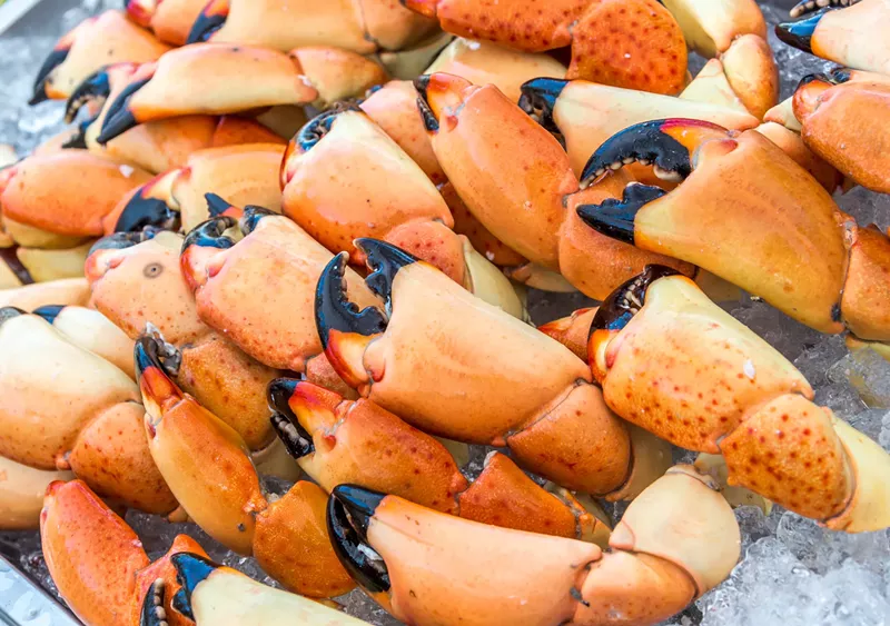 Image: Some people like pumpkin spice lattes this time of year. The rest of us go for the stone crab claws.