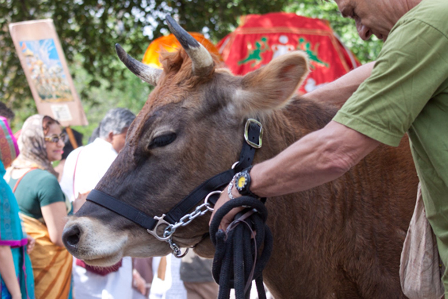 Hare Krishna Festival of Chariots, Dallas, Dallas Observer