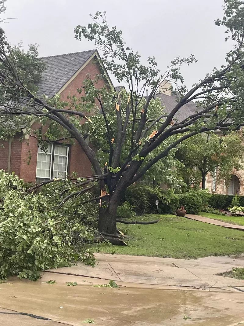 Image: Tree damage to house