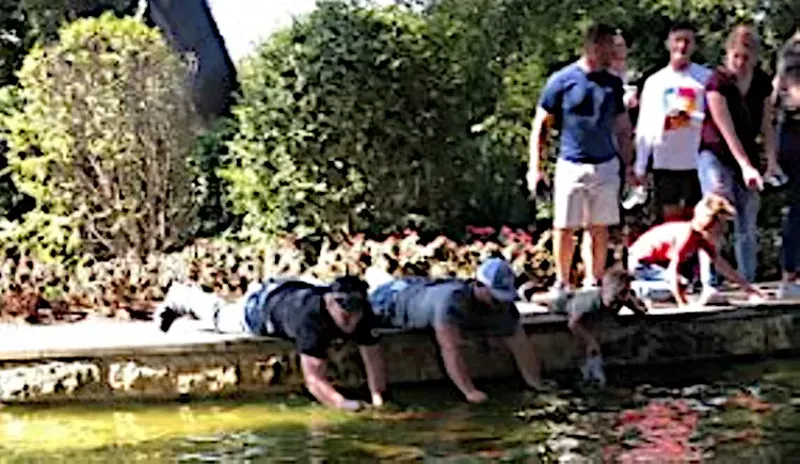 Image: A visitor of the Dallas Arboretum recorded footage of people trying to catch fish with their bare hands from the garden's koi pond.