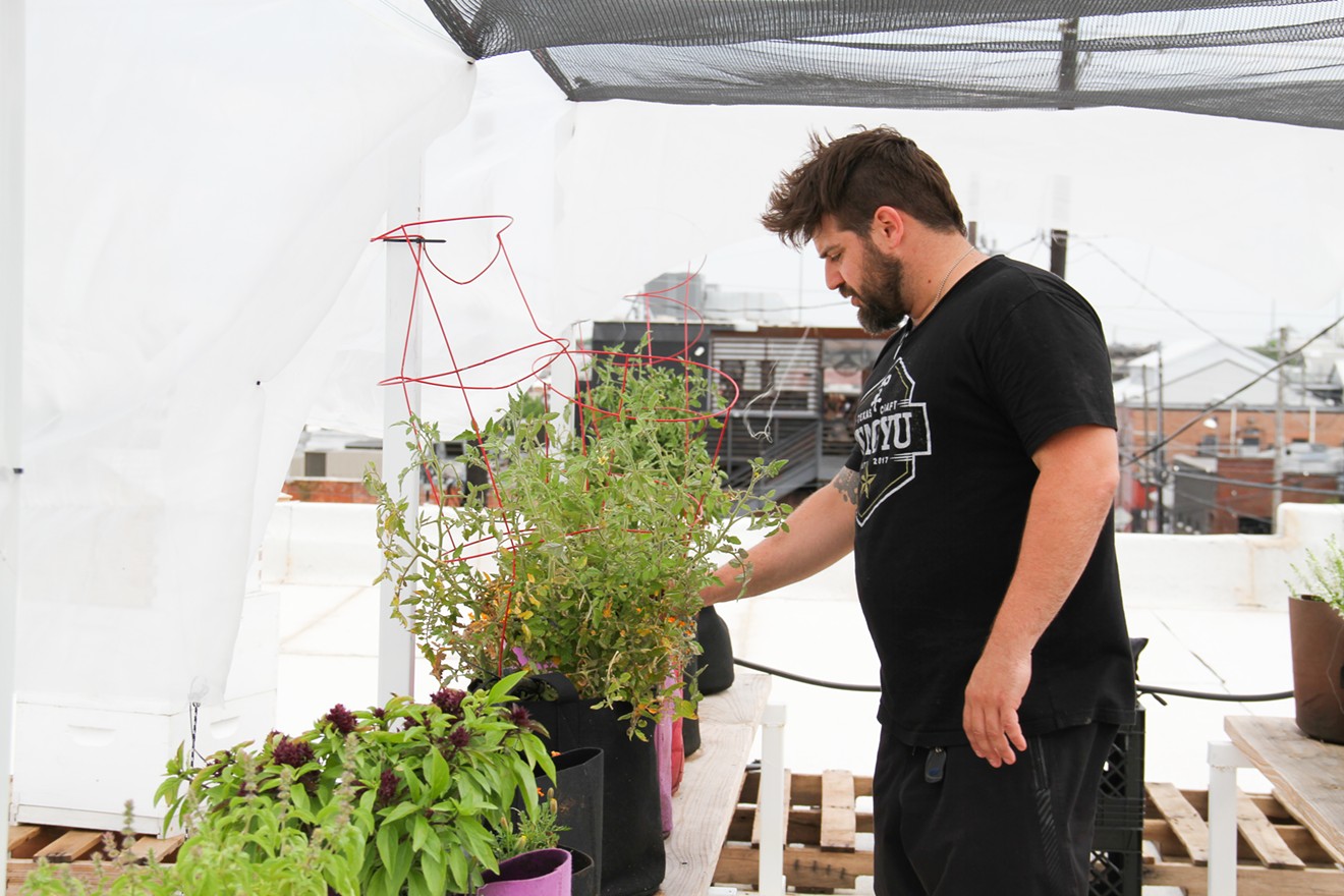 Joel Orsini checks on some plants in his rooftop garden and apiary. One week prior, a storm that blew through Dallas toppled every plant, but the bees were unharmed.