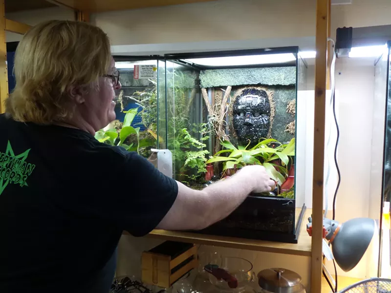 Image: Paul Riddell has been hooked on horticulture ever since he bought, and accidentally killed, his first Venus' flytrap.