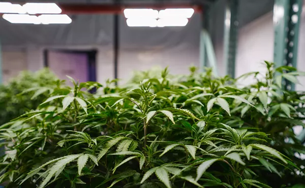 Image: Dallas Senator Wants Texas To Become More Weed-Friendly