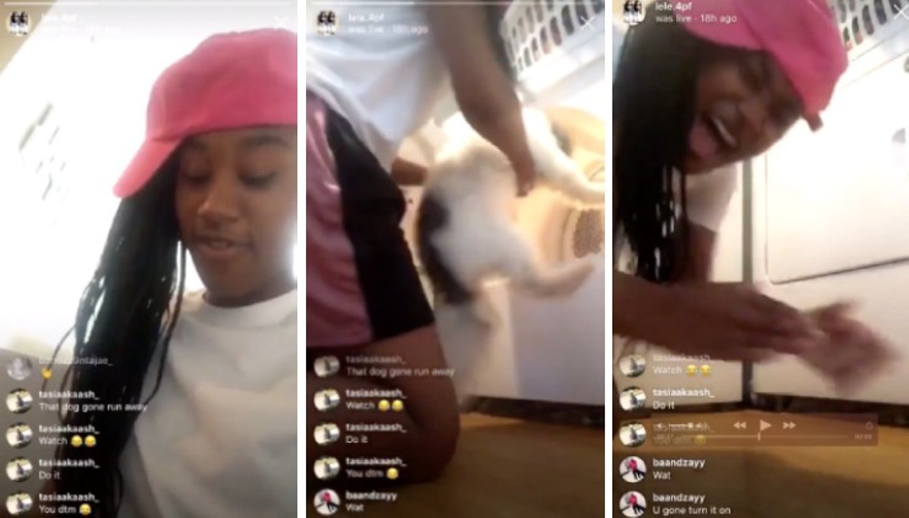 Dallas Police investigators are trying to locate the woman in an Instagram video who put her dog in a running tumble dryer.