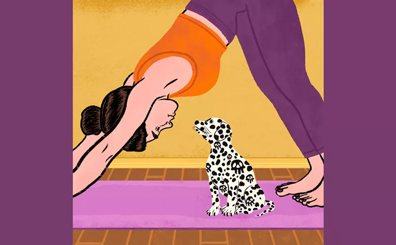 Image: Puppies Died After Dallas Dog Yoga Class. Studio, Breeder Cast Blame