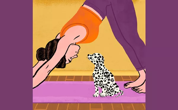 Image: Puppies Died After Dallas Dog Yoga Class. Studio, Breeder Cast Blame