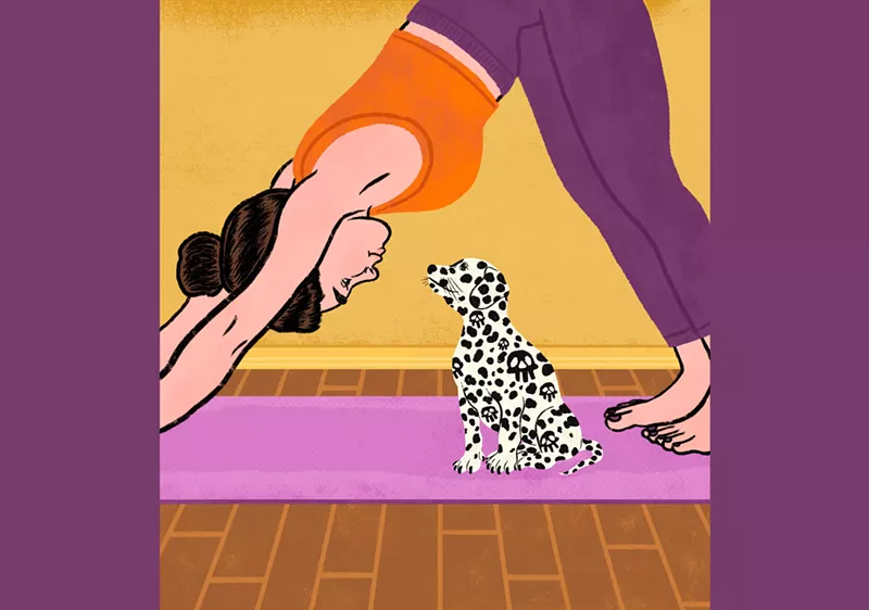 Image: Puppy yoga but the puppies caught Parvovirus.