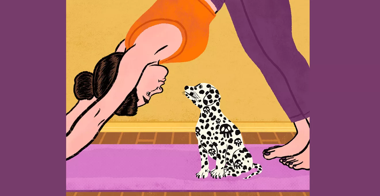 Puppies Died After Dallas Dog Yoga Class. Studio, Breeder Cast Blame – Dallas Observer