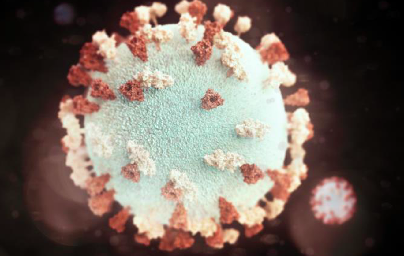 A 3D graphical representation of mumps virus particle studded with glycoprotein tubercles.