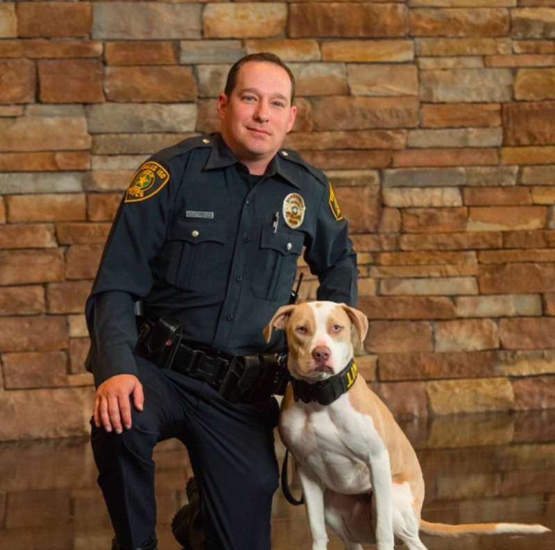 Image: Rumors of drugs at a middle school prompted the deployment of Athena, a pit bull drug detection dog who will focus on middle schools.