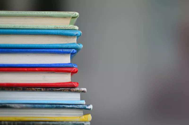 Image: Changes to the state's social studies curriculum may not happen until 2025.