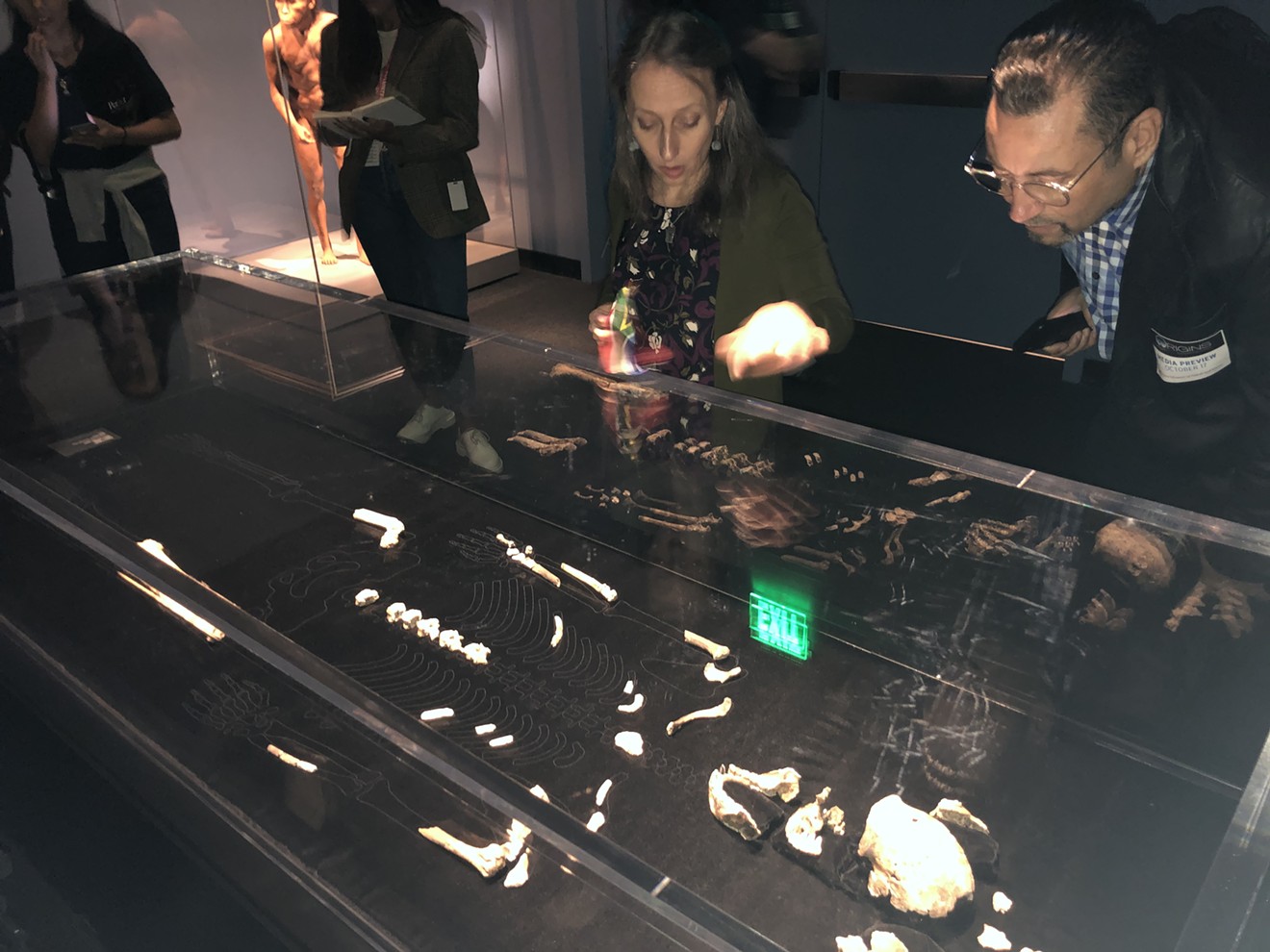 Dr. Becca Peixotto, an archaeologist and director of the Perot Museum's Center for the Exploration of the Human Journey, points out key details of the remains of Homo naledi, a newly discovered human ancestor that's one of two groundbreaking anthropological discoveries on display in a special exhibit at the Perot Museum of Nature and Science.