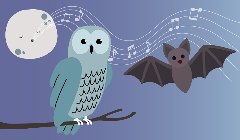 Image: The Plano Symphony Orchestra is starting its new family series with The Music of Night and Day on Sunday at the North Texas Performing Arts Center.