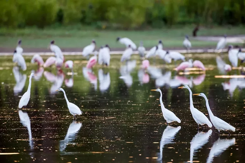 Image: This is the Trinity River now. Why make it fancier?