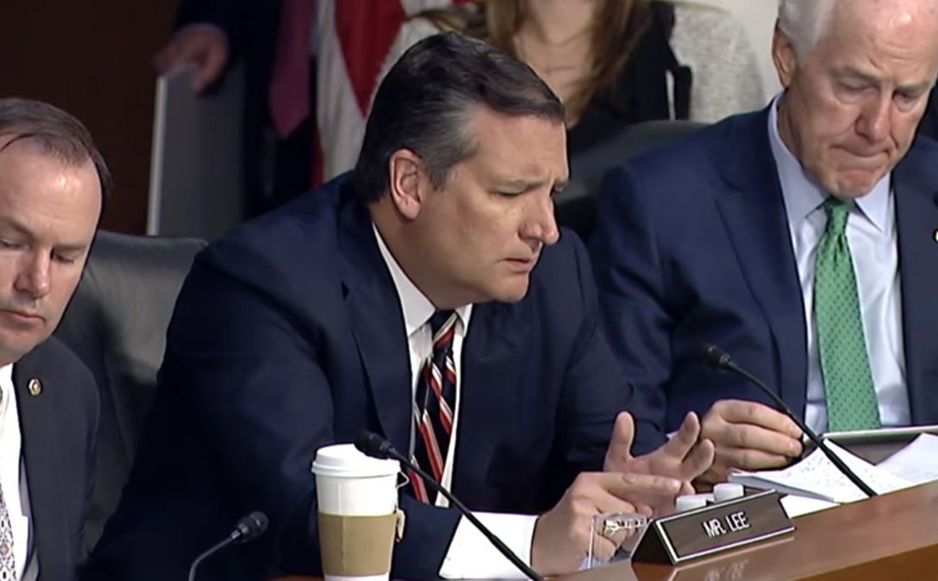 Ted Cruz, deep in thought about what to ask Mark Zuckerberg next.