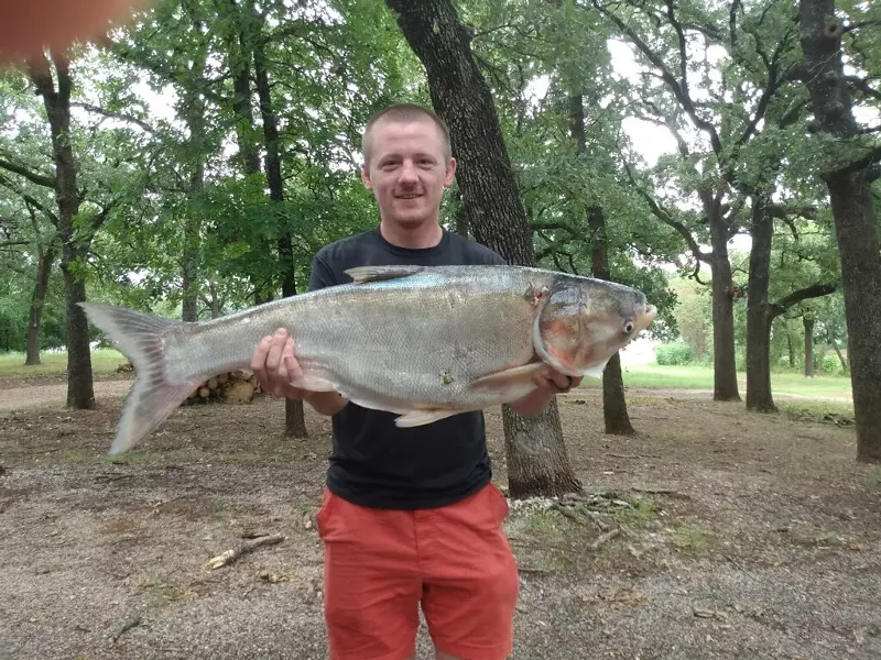 Image: Stephen Banaszak holds an invasive silver carp he found roaming around Texas waters.