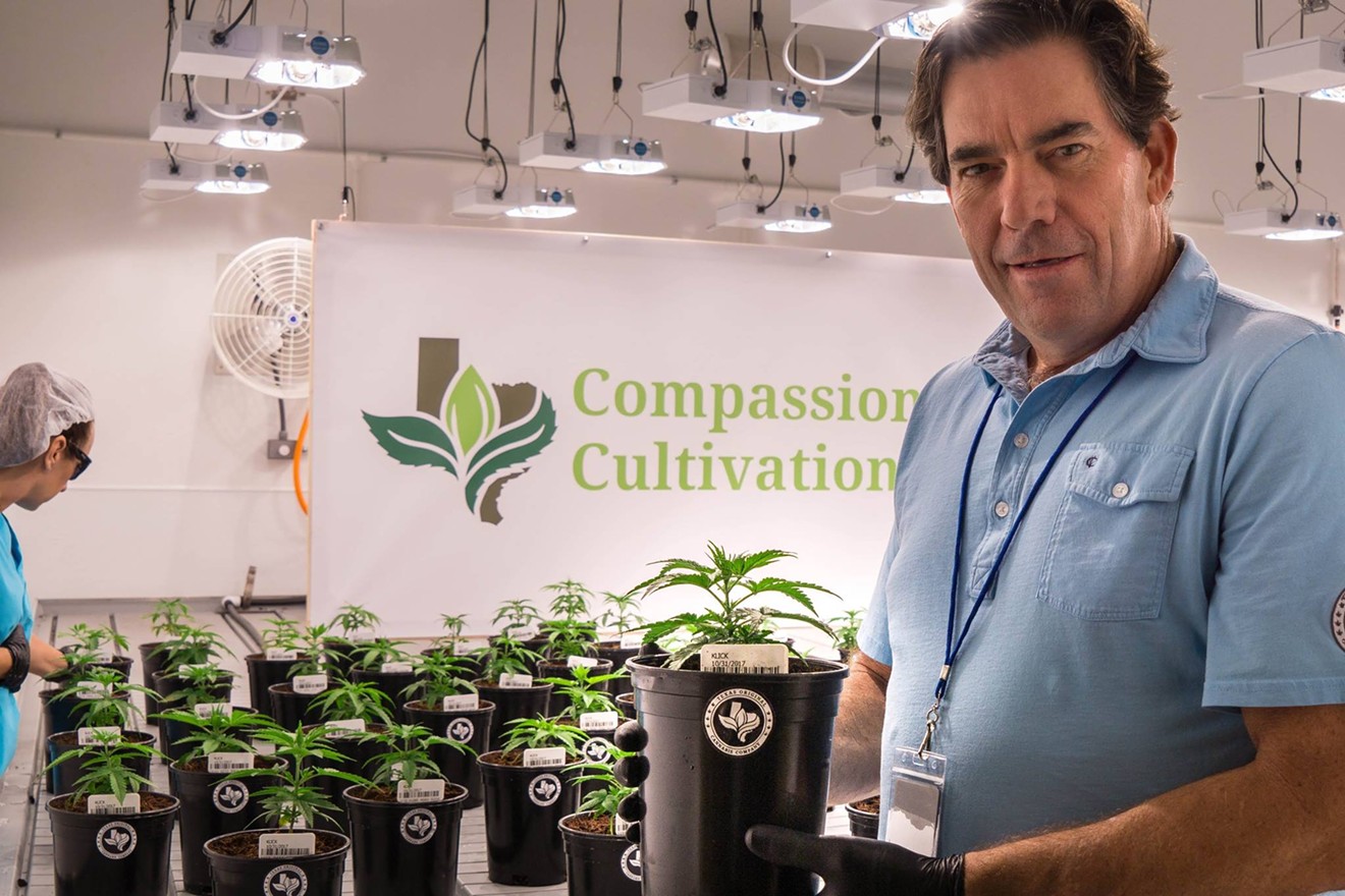 Morris Denton admires some of Compassionate Cultivation's first seedlings.