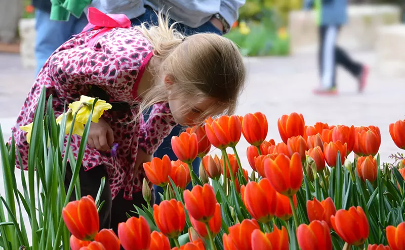 Image: The Best Things To Do in Dallas, March 15–21