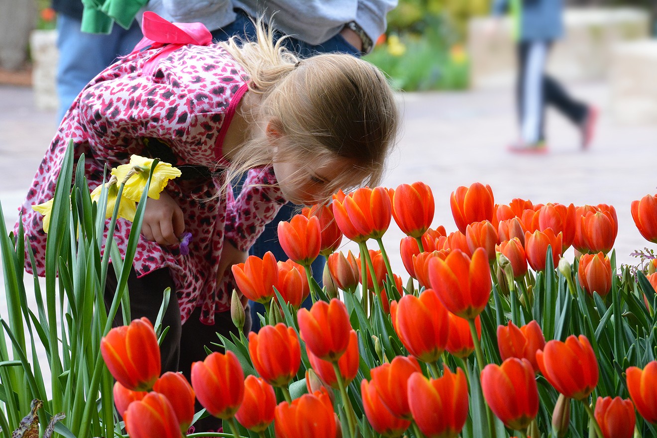 Sniff your way to feeling Spring-y at Dallas Blooms.