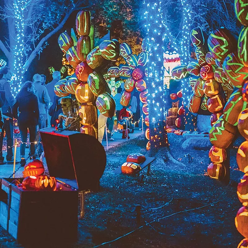 Image: Some say pumpkins are bad for the environment, but what isn't? Howell Farms Pumpkin Nights takes place this week.