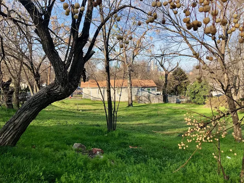Image: Vacant lots outnumber homes in The Bottom, a southern Dallas neighborhood just minutes from downtown.