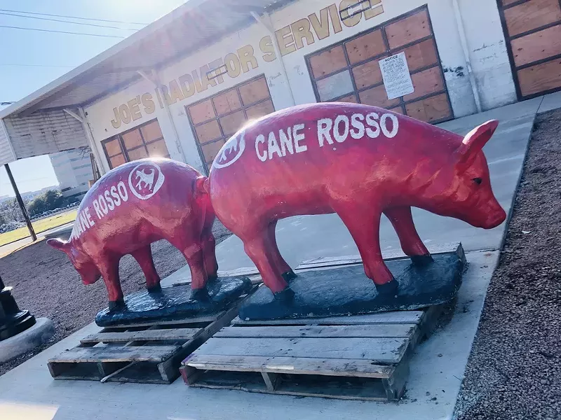 Image: Il Cane Rosso Pigs in Arlington
