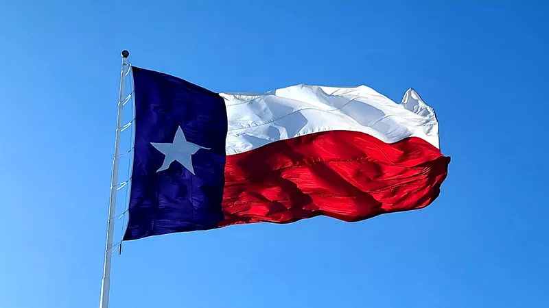 Image: In Texas, investor-owned properties make up 28% of the housing stock, more than any other state.