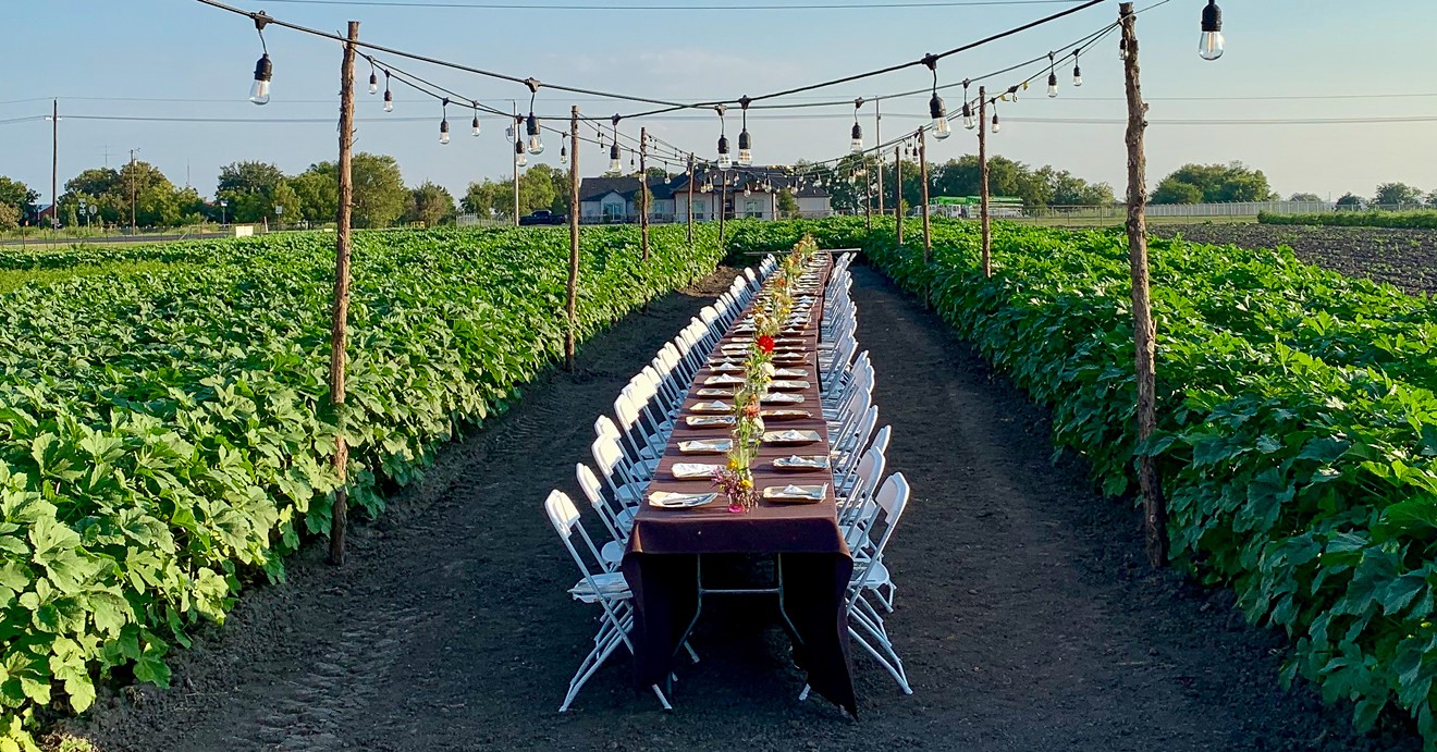This year's Okrapalooza Seed to Table dinner took place among okra fields at the Reeves Family Farm in Princeton.