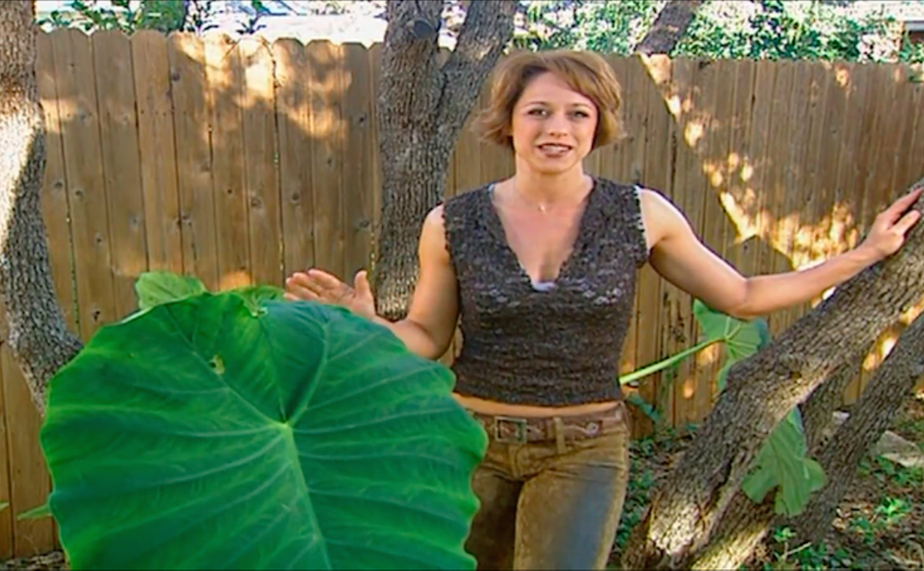 Three Dallas-Centric Episodes of Trading Spaces That Need to Happen