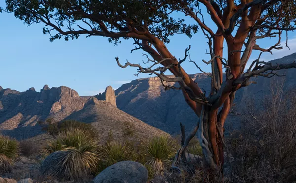 Image: Tripping Out: New Mexico's Desert Has A Worthy Summertime Oasis