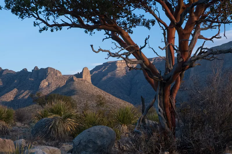 Image: Don't let the desert in Carlsbad fool you; there are hidden oases out there.