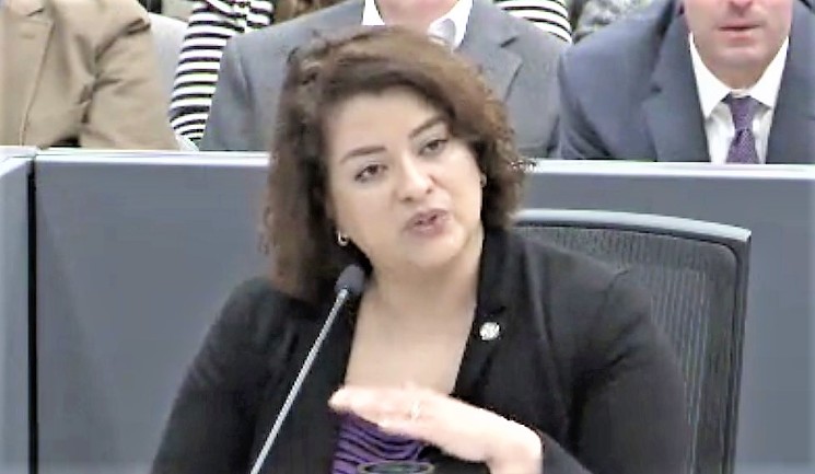 Raquel Favela, Dallas' chief of economic development and neighborhood services, spoke at Monday's council committee meeting. - DALLASCITYHALL.COM