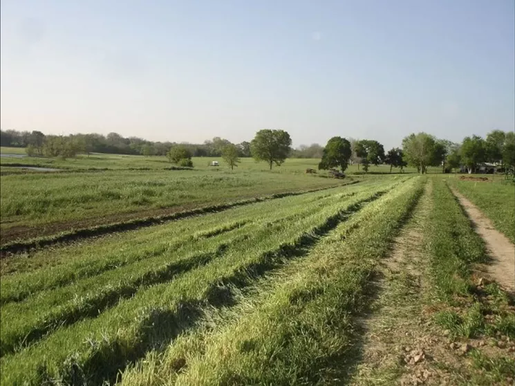 Pure Land Organic Farm, an organic pick-your-own fruit and vegetable farm in McKinney. - COURTESY MEG NEUBAUER