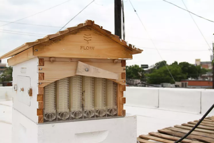 Joel Orsini has an apiary on the roof of Izkina not just because he loves honey, but because he hopes the colony will help declining bee populations. - TAYLOR ADAMS
