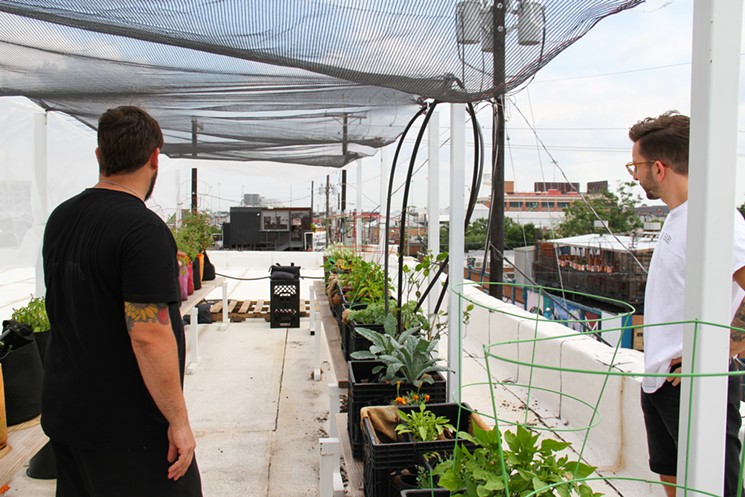 Joel Orsini (left) and Yoni Lang look over the plants that have resided on the rooftop of Izkina for less than a year. Future plans mean more plants on this space that’s higher than most buildings around it in Deep Ellum. - TAYLOR ADAMS