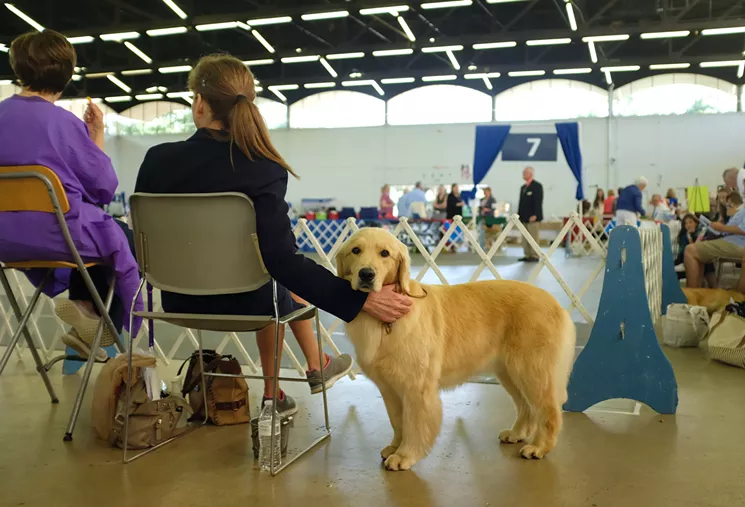 A Look Inside the Lone Star Dog Show Dallas Observer