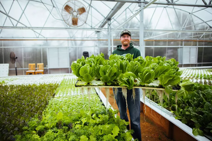 Microgreens and lettuces grow floating on water at Profound Microfarms in Lucas, started by Jeff Bednar and wife Lee. - KATHY TRAN