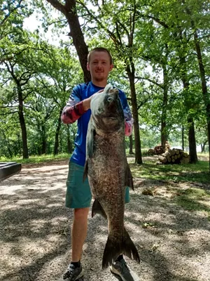 Stephen Banaszak holds a bighead carp, an invasive species found in Texas waters. - TEXAS PARKS AND WILDLIFE